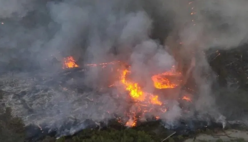 Syrian Coast Fires: Residents blame Government for slow response