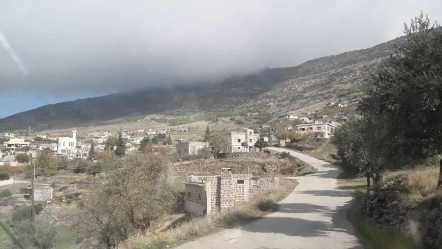 Turkish-backed mercenaries prevent local residents from harvesting Olives
