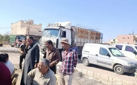 Truck drivers’ protests in Hama, Homs