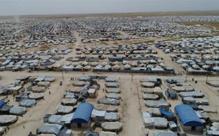 Growing public concern over al-Hol Camp, calls for permanent solution
