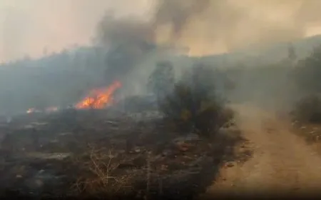 Massive fires devour vast areas in rural Latakia, threatening villages, their inhabitants