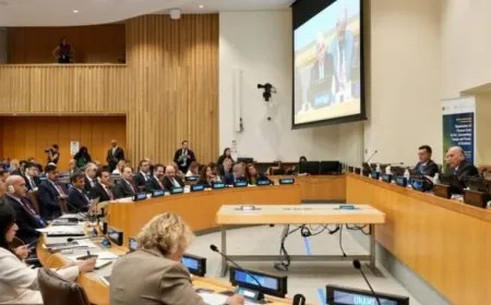 International Conference on al-Hol Camp calls for acelerated repatriation of imprisoned citizens