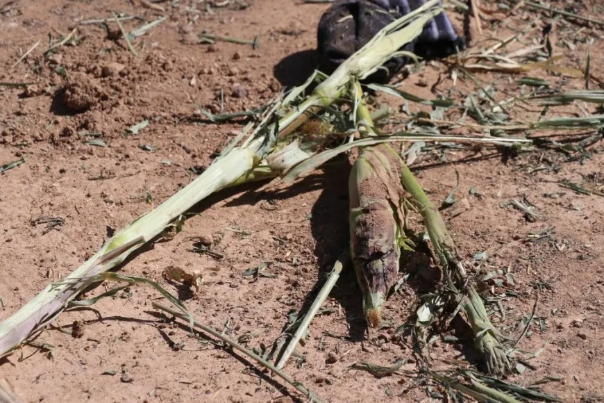 Deir Hafer residents condemn transitional government’s massacres