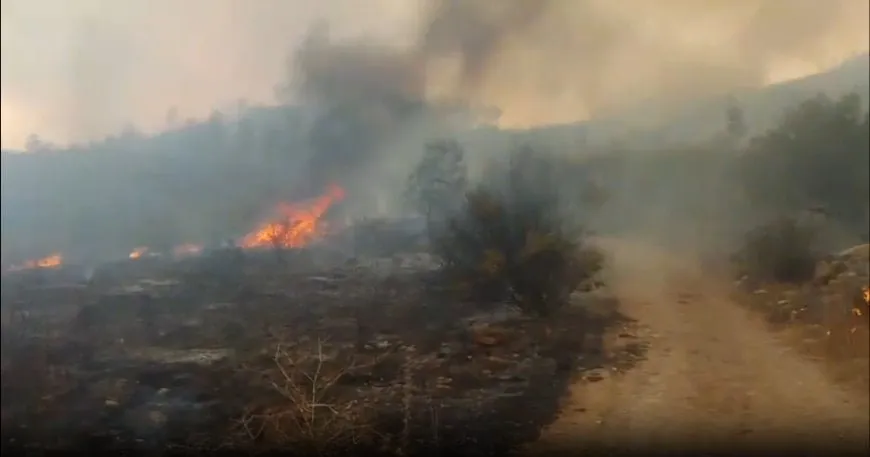 Massive fires devour vast areas in rural Latakia, threatening villages, their inhabitants