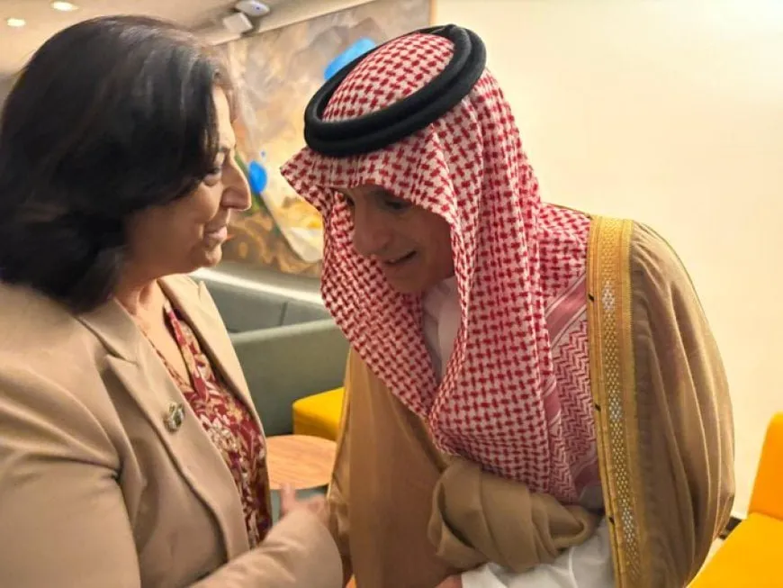 SDC Representative meets Saudi FM in New York