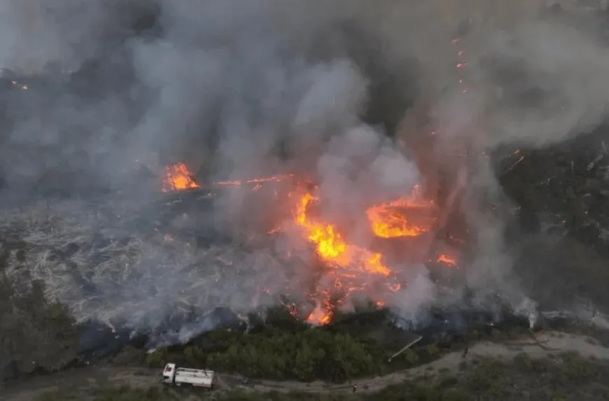  Wildfires ravage Syria: 1,600 blazes in Summer 2025