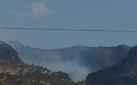Wildfires rage through forests in N. Kurdistan amid Absence of Firefighting Response