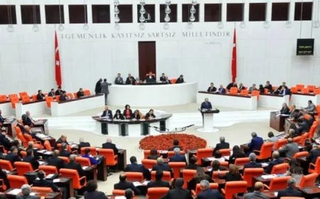 Meeting Between DEM Party Co-Chairs and Erdoğan