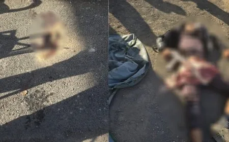 Two civilians killed in armed attack on checkpoint east of Raqqa