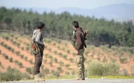 Video documents olives theft in Afrin before start of season