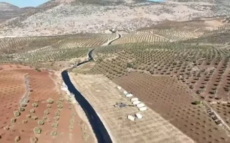 Man, his son kidnapped, olive harvest stolen in occupied Afrin