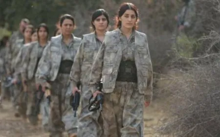 Intellectuals: Kurdish Freedom Movement’s step represent key to democratic solution