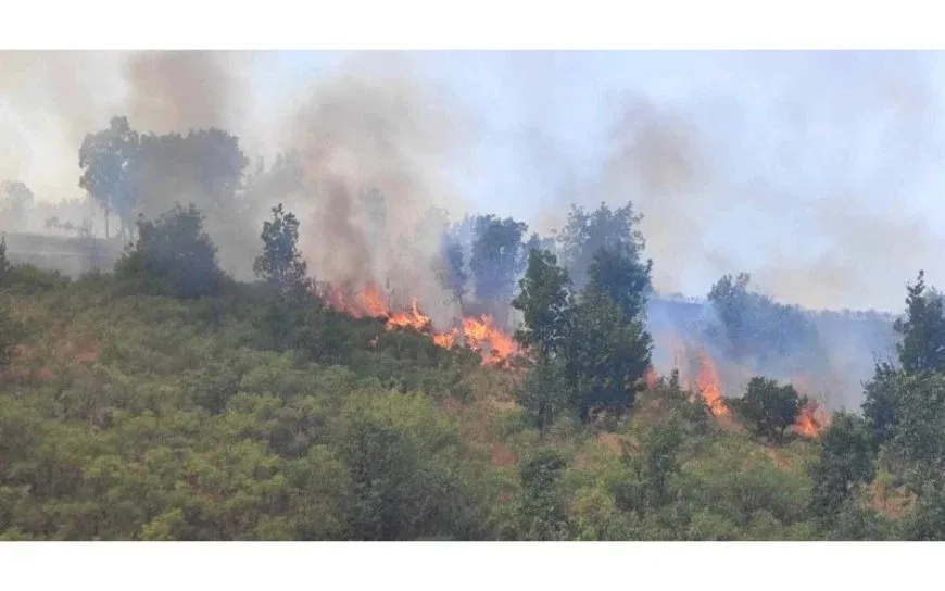 significant environmental damage due to a fire in Penjwin Forests in S.Kurdistan