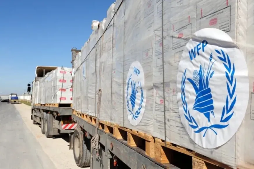 New humanitarian aid arrives in Sweida, provided by World Food Programme
