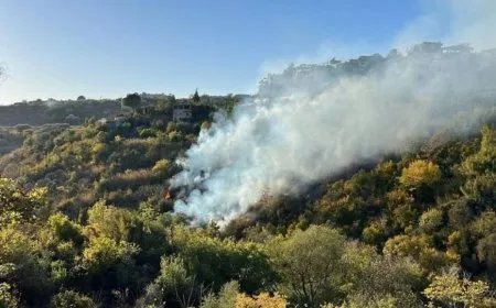 Fire in Latakia sparks fears of spreading to farmlands