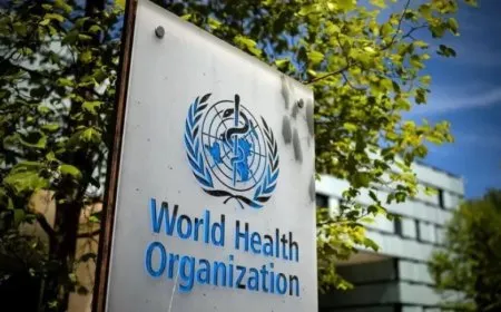 WHO warns of potential collapse of Syria’s health system