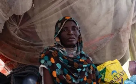 Over 150 women raped, harassed while fleeing El-Fasher, Sudan