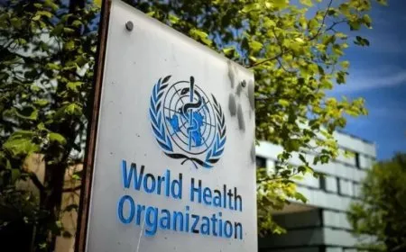 WHO delivers urgent medical supplies to NE Syria