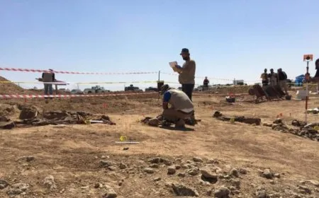 Mass grave found in Homs countryside