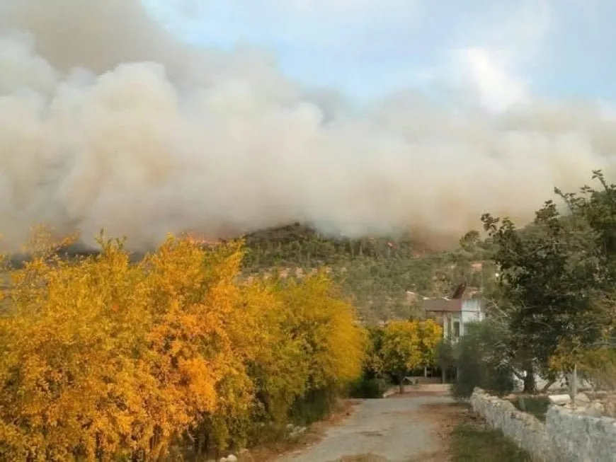 Calls for action as massive fires threaten Tartous forests