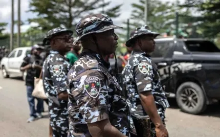 Twelve Killed in armed attack in Nigeria
