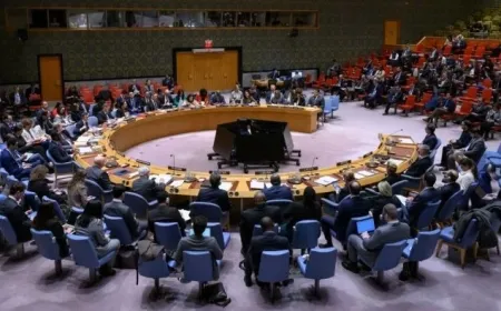UNSC reviews developments in Syria, calls for ceasefire, peaceful integration