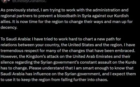 Graham urges Saudi Arabia to take more active role in preventing chaos in Syria