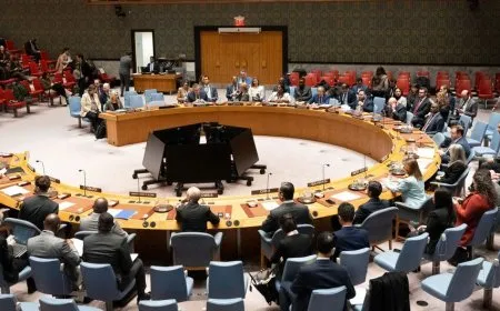 UNSC welcomes SDF-Interim Govt agreement, stresses civilian protection
