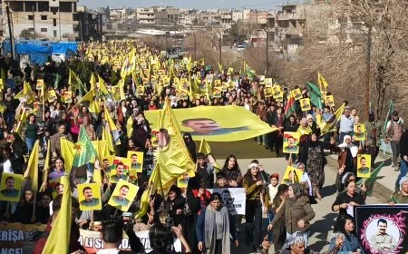 Thousands of protesters in 9 cities denounce international plot against leader Ocalan