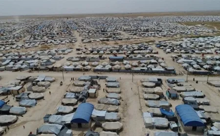 Government plans to move al-Hol residents to Aleppo countryside