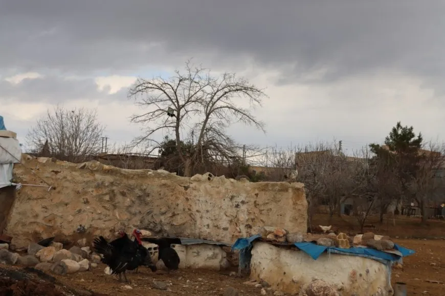 Aitweran Village resists siege near Kobani frontlines