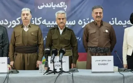 Researcher, politician: sensitive phase in Iran requires conscious Kurdish alliance; political action