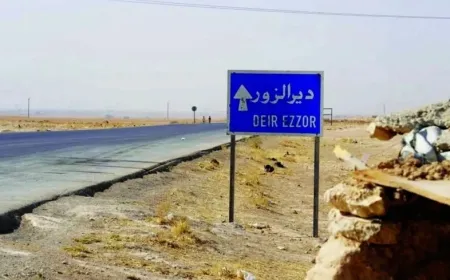 Vandalism of Martyrs’ Cemetery in Deir ez-Zor Countryside