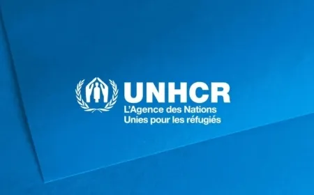 UNHCR warns of risk of humanitarian catastrophe in Lebanon