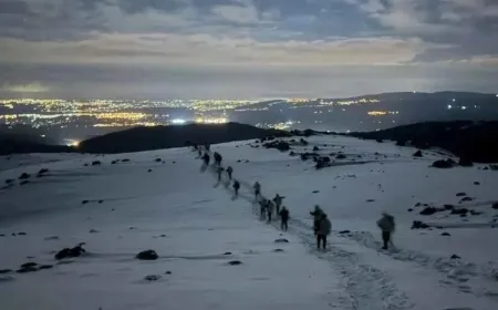 Israeli army carries out cross-border operation into Southern Lebanon via Syria