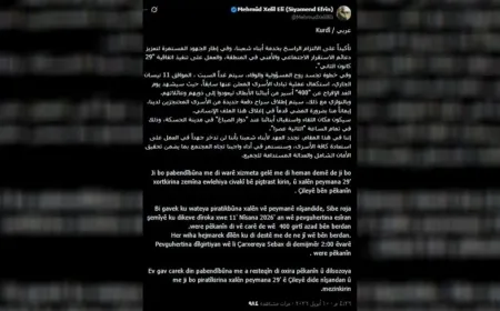Mahmoud Ali: 400 Prisoners to be released on Saturday