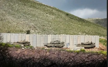 Hezbollah-Israel ceasefire welcomed worldwide 