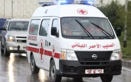 Bodies of 76 Syrians killed in Lebanon enter Syria