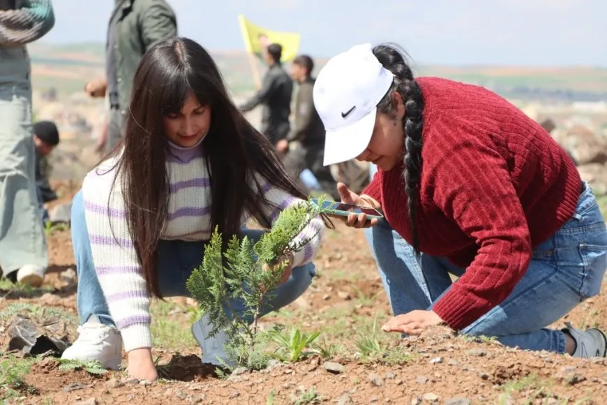 500 trees planted on Mishta Nur Hill on leader's birthday occasion