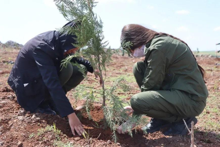 500 trees planted on Mishta Nur Hill on leader's birthday occasion