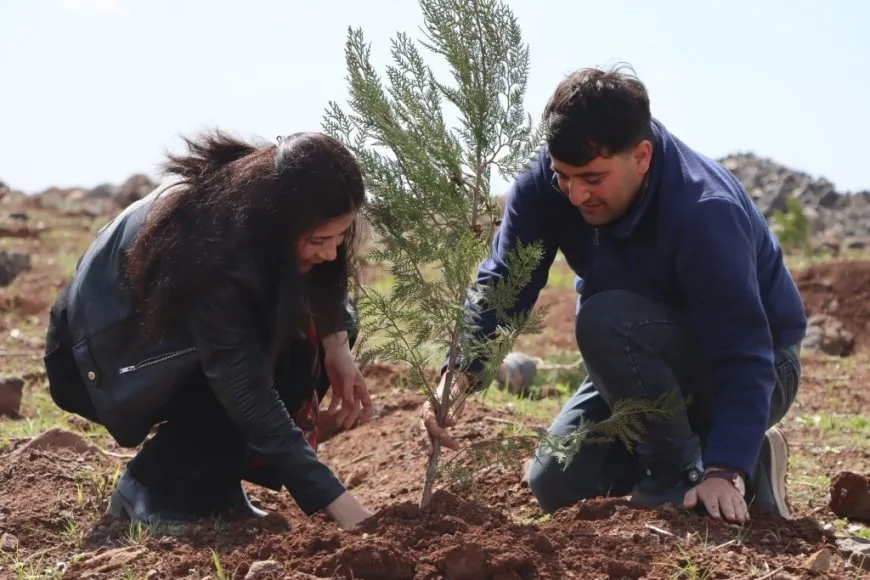 500 trees planted on Mishta Nur Hill on leader's birthday occasion