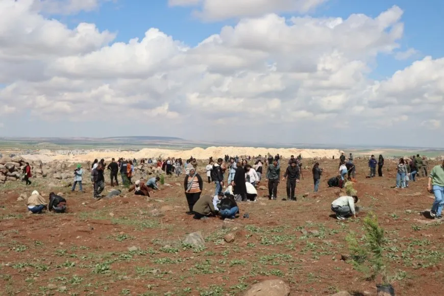 500 trees planted on Mishta Nur Hill on leader's birthday occasion