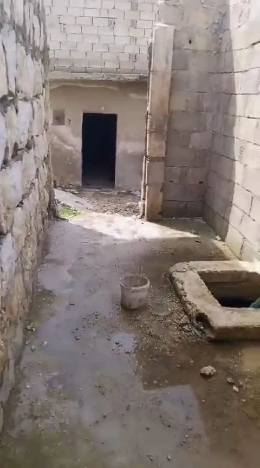  Returning to their homes, Afrin displaced document looting, destruction