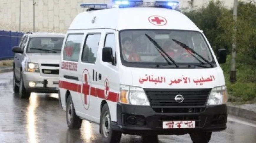 Bodies of 76 Syrians killed in Lebanon enter Syria