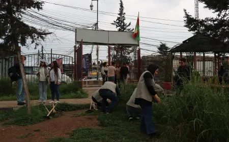 Planting 47 trees in "Ari" park as environmental initiative