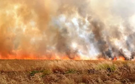 5 fires destroy agricultural lands south of Hasakah