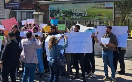 Poultry farmers in Damascus protest against chicken imports