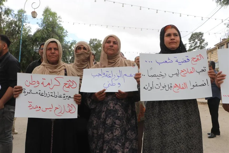 Protests in Hasaka, Qamishlo, Derik, Kobani against wheat pricing 