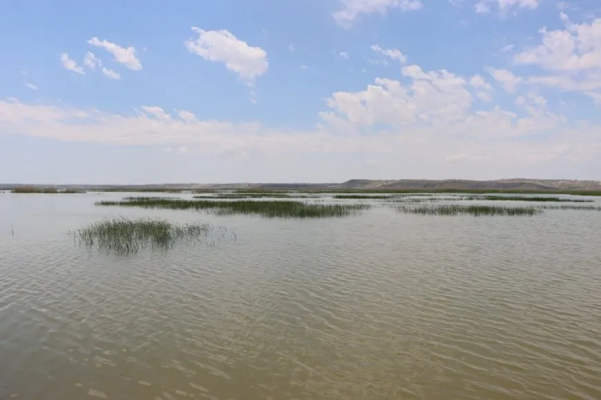 Rising Euphrates water levels threaten villages in western Kobani countryside