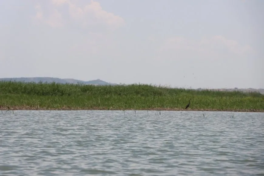 Rising Euphrates water levels threaten villages in western Kobani countryside